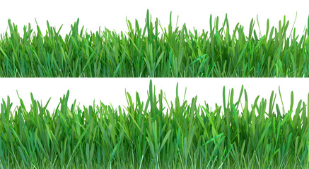 Green grass set. Nature background. Meadow. Spring, summer season. Plant growth 3d rendering