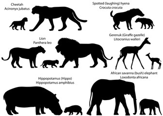 Collection of animals with cubs living in the territory of Africa, in silhouettes: lion, cheetah, gerenuk, hippopotamus, african savanna elephant, spotted hyena