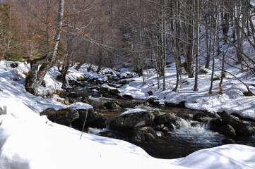 Fototapeta na wymiar Mountain river covered with snow. Winter landscape, wild mountain river