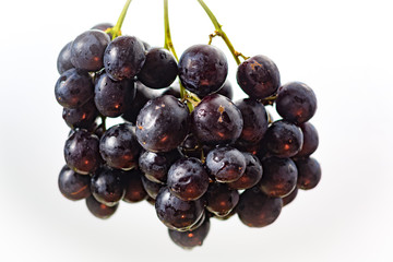Bunch of black grape, sweet fruit dessert
