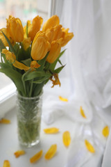 A bouquet of yellow tulips in a vase on the windowsill. A gift t