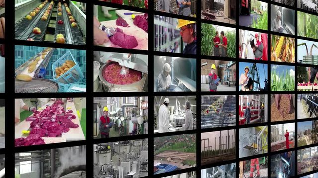 Video wall montage industrial production. People working in a factory, construction, agriculture, food industry, fossil fuels, cereals, fruits and vegetables, farm animal, time lapse