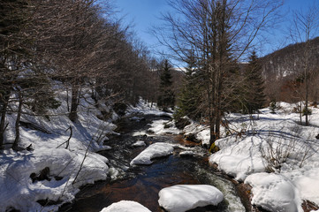 Mountain river covered with snow. Winter landscape, wild mountain river