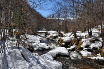 Fototapeta na wymiar Mountain river covered with snow. Winter landscape, wild mountain river