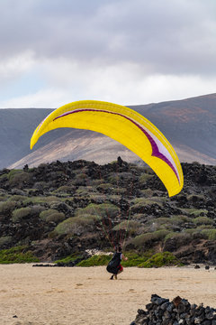 Paraplaner with paraplane on sandy beach, extreme sport