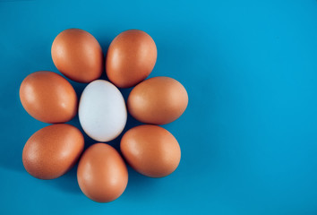 a group of eight eggs in the shape of a circle or flower lies on a blue background, top view. copy space.