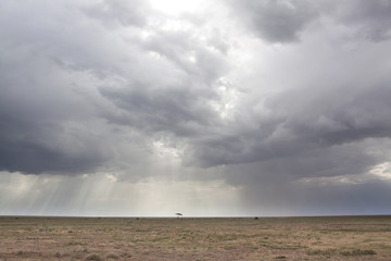 African landscape with stormy weather