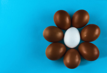 a group of seven chocolate eggs and one white, circle-shaped or flower lies on a blue background, top view. copy space ,