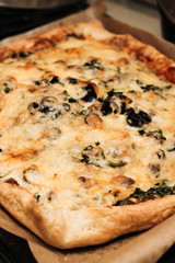 Delicious pizza with cheese and olives, traditional Italian cuisine