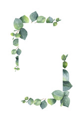 Watercolor banner with green eucalyptus leaves and branches. © ElenaMedvedeva