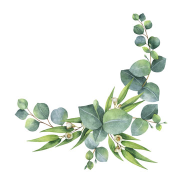 Watercolor bouquet with green eucalyptus leaves and branches.
