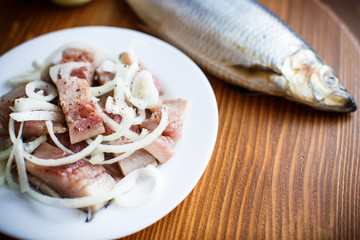 Herring salad with onion