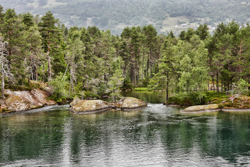 Obraz premium The beauty of Norway's summer Norwegian landscape