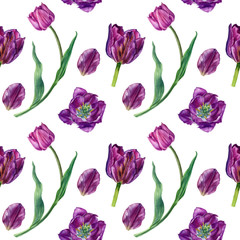 tulips
