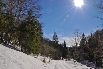 Mountain landscape. Small Rural road covered with snow