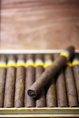 large wooden box of cigars handmade Cuban