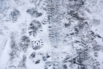 Traces of car wheels and shoes in the snow