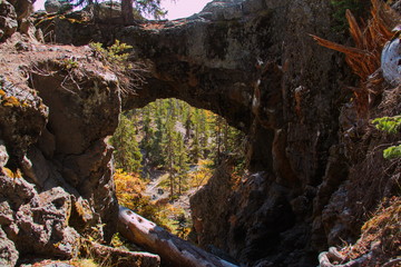 Fototapeta na wymiar Natural Bridge in Yellowstone National Park in Wyoming in the USA 