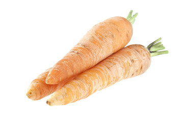 carrot isolated on white background