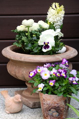 Garten Dekoration mit Frühlingsblumen