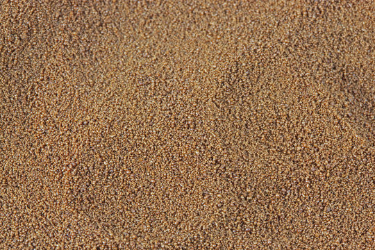 L&ouml;slicher Bio - Getreidekaffee - Makro