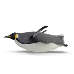 Emperor penguin sliding. isolated on white. Side view. 3D illustration - obrazy, fototapety, plakaty