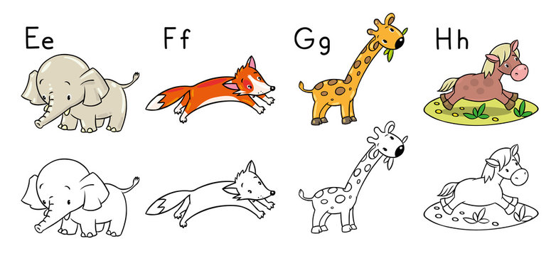 Animals alphabet or ABC. Coloring book