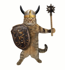 The cat in a viking helmet holds a mace and a shield. White background.
