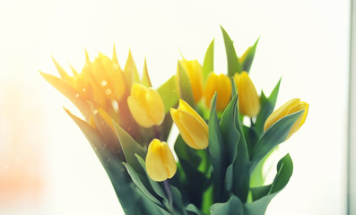 A bouquet of red tulips in a vase on the windowsill. A gift for 