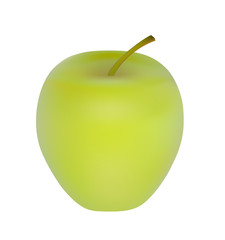 Vector illustration, one whole ripe green realistic apple with tail isolated on white background