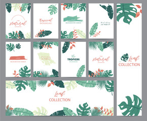Green tropical greeting card with palm, coconut tree,heliconia and banana leaf