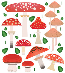 Vector flat style vector forest mushrooms. Ornamental, traditional with forest berries and mushroom, strawberries, deep, blueberries, mountain ash, cranberries, leaf