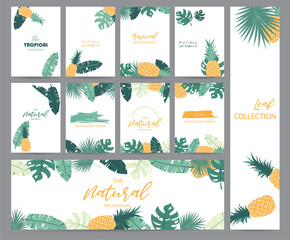 Green tropical greeting card with palm, coconut tree,pineapple and banana leaf