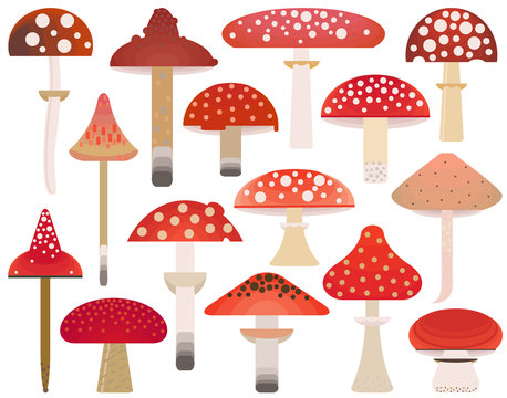 Vector flat style vector forest mushrooms. Ornamental, traditional with forest berries and mushroom, strawberries, deep, blueberries, mountain ash, cranberries, leaf