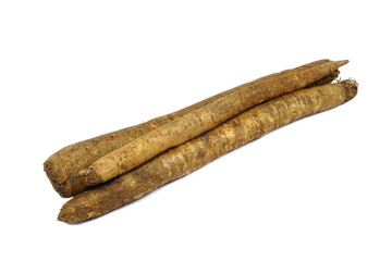 Black salsify roots (Scorzonera hispanica)