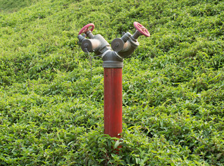 Red fire hydrant