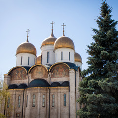 Assumption Cathedral of the Kremlin. Moscow, Russia.