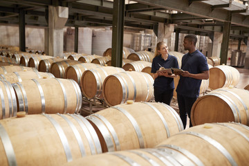 Two staff inspecting barrels in a wine factory warehouse