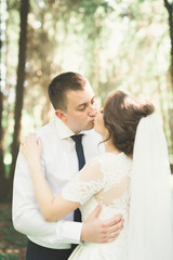 Romantic, fairytale, happy newlywed couple hugging and kissing in a park, trees in background