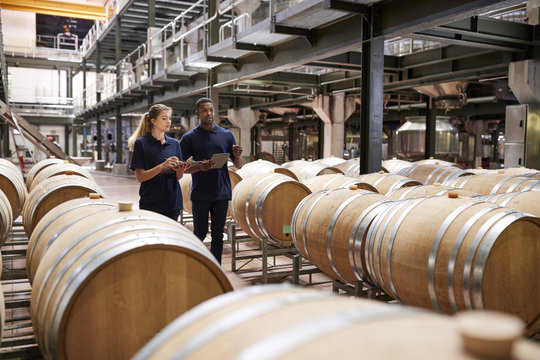 Two staff inspecting barrels in a wine factory warehouse