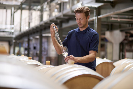 Young man testing wine in a wine factory warehouse