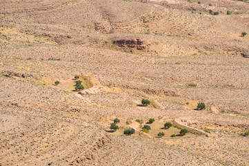 Steinwüste n Tunesien