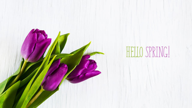 Beautiful tulips against white wooden background. The inscription Hello spring. Copy space.