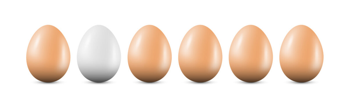 Row of Eggs