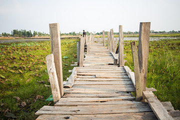 Fototapeta premium wood bridge cross a river