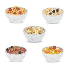 Collection of cereal porridge in bowl with fruits and nuts. Healthy breakfast. Isolated elements. Vector illustration