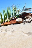 coconut on the beach background