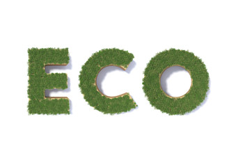 Eco word made of green tree on white background. 3d illustration