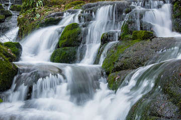 Fototapeta premium Badger Dingle Waterfall