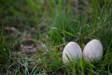 Two white Easter eggs with a branch of apricot in green grass. Easter background. Search for eggs at Easter.